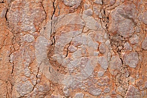 The surface of red nodular limestone