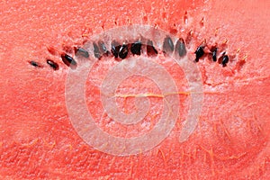 Surface of red watermelon texture background.