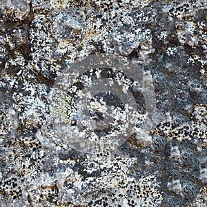 Surface rock with lichen seamless pattern from northern mountain