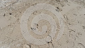 The surface of the sandy beach. Top view. There are shoe prints on the wet sand. photo