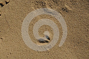 The surface of the sea on the sand, waves on the beach a