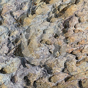 Surface Seamless of Stone Rock Texture Background