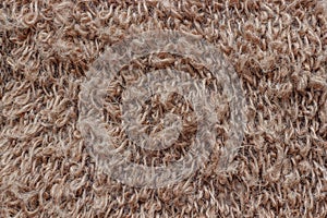 Surface of the sponge-nettle closeup as background or texture.