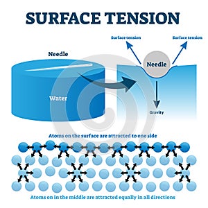 Surface tension explanation vector illustration diagram photo
