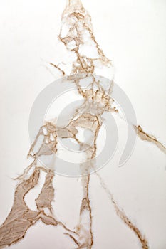 The surface, texture and background of white beige marble with brown veins