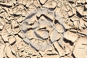 The surface texture dry cracked earth, close-up abstract background