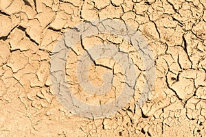 The surface texture dry cracked earth, close-up abstract background