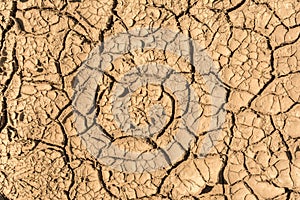 The surface texture dry cracked earth, close-up abstract background