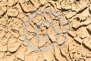 The surface texture dry cracked earth, close-up abstract background