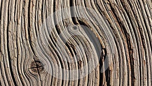 Surface texture is rough with visible cracks, highlighting the aging