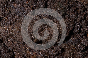 Surface texture of wet garden black soil. Mud and dirt background