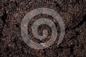 Surface texture of wet garden black soil. Mud and dirt background