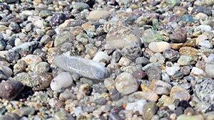 Surface and Texture of White Sand Beach During A Hot Summer day - Beach Footage