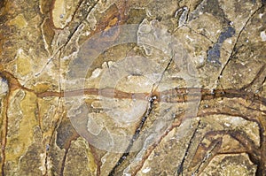 Surface of the Thailand beach stone