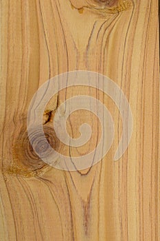 Surface view of a piece of pine with wood burly grain knot.
