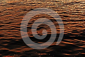 Surface of water with waves background texture, wave close up, light playing on the sea surface, the surface of golden water at