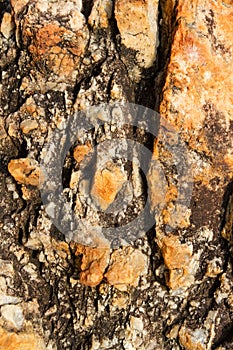 The surface of a yellow stone with a crystalline texture