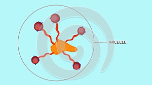 The surfactants cluster together to form micelles, which trap the hydrophobic contaminants inside and allow them to be photo