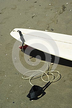 Surfboard