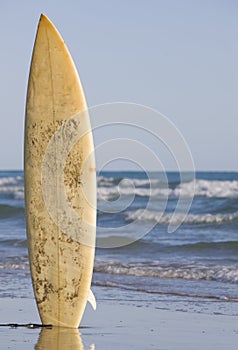 Surfboard