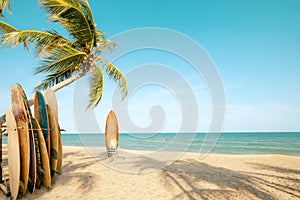 Surfboard and palm tree on beach