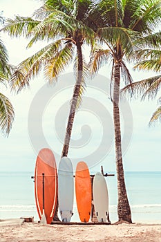 Surfboard and palm tree on beach background