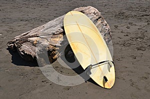Surfboard on a treestump on volcanic sand beach