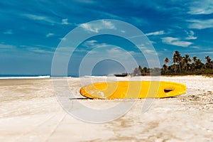 Surfboard on a tropical beach overlooking the ocean, blue sky background. Colored Board for surfing on the sand