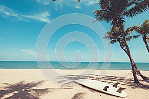 Surfboard on tropical beach in summer.