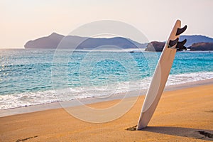 Surfboard on the wild beach