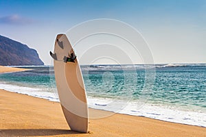 Surfboard on the wild beach