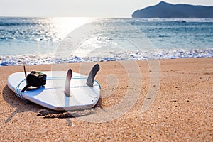 Surfboard on the wild beach