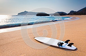 Surfboard on the wild beach