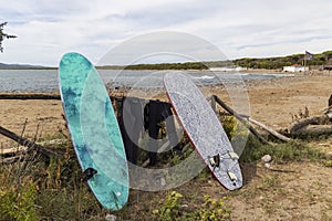 Surfboards in Al Cartello beach near Orbetello, Tuscany, Italy photo