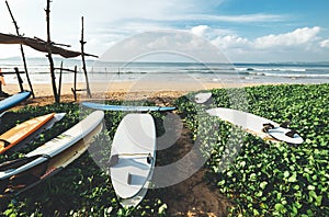 Surfboards are on the beach at erly morning time on the surf poi