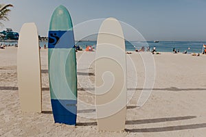 Surfboards on the beach place