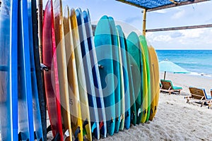 Surfboards of different color and size  are standing on the beach in Bali