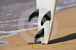 Surfboards lays on the tropical beach