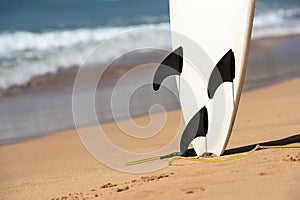 Surfboards lays on the tropical beach