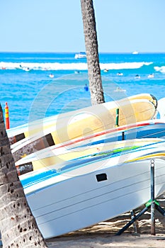 Surfboards lined up between two coconut trees on the beach
