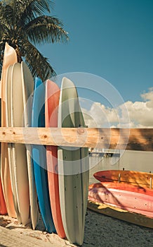 the surfboards are resting on a rack on the beach