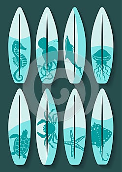 Surfboards set with blue sea creatures drawing