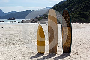 Surfboards standing upright in bright sun on the beach, Brazil