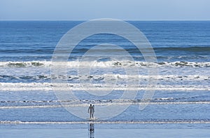 A surfer alone in front of the pacific ocean
