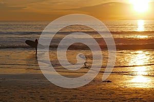 Surfer Beach Female Golden Sunset Surfboard Silhouette