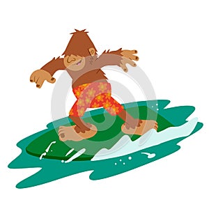 Surfer bigfoot funny
