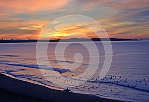 Surfer and birds on beach at sunrise