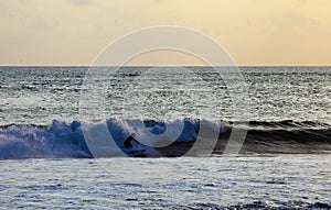 Surfer on Blue Ocean Wave in Bali