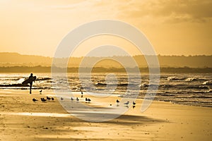 Surfer at Byron Bay