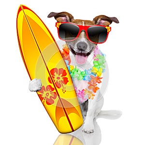 Surfer dog photo